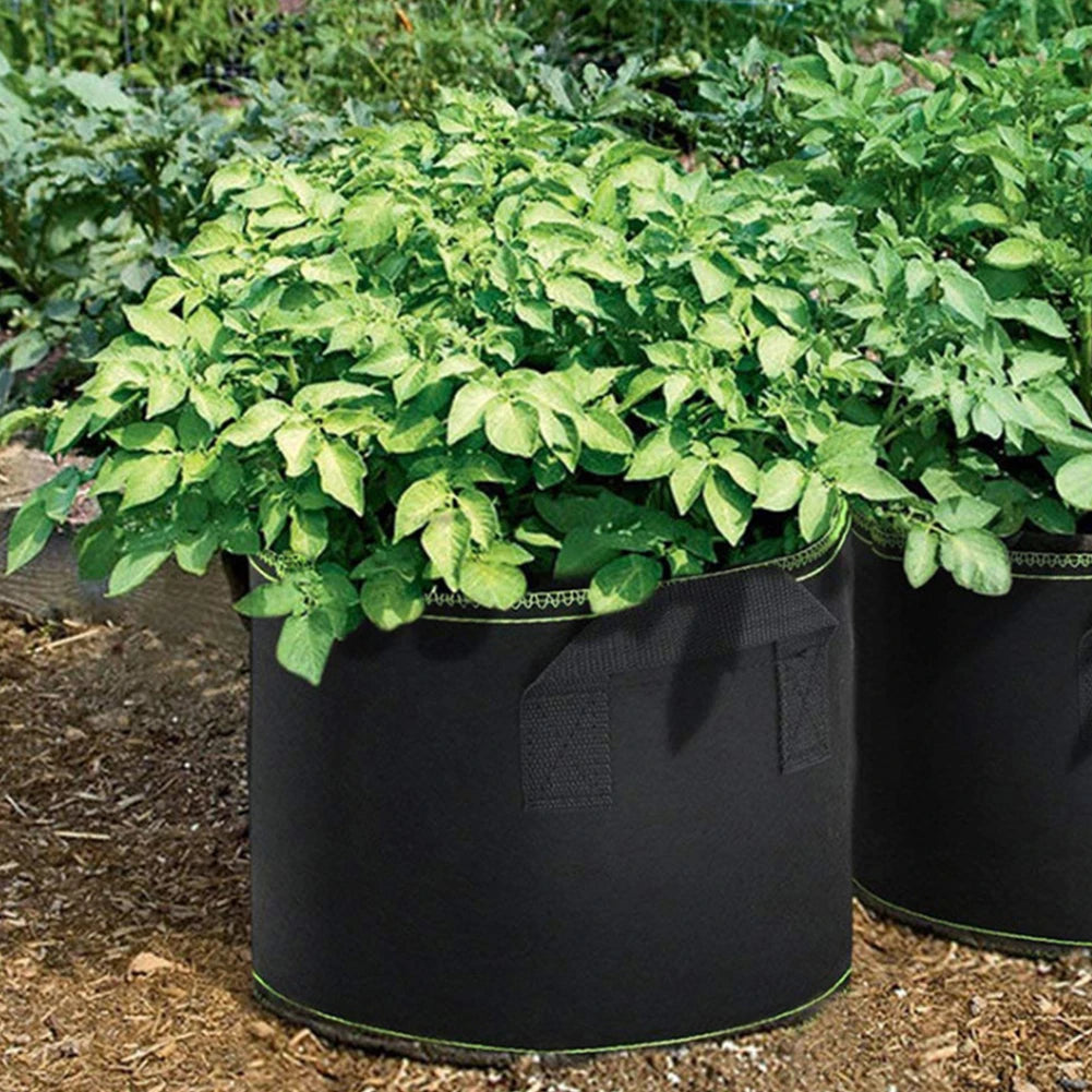 Fabric Plant Pots Grow Bags 3/5/7/10 Gallon Breathable Plant Bag