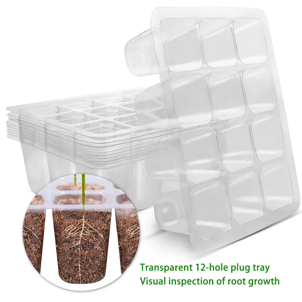 12 Holes Seedling Tray