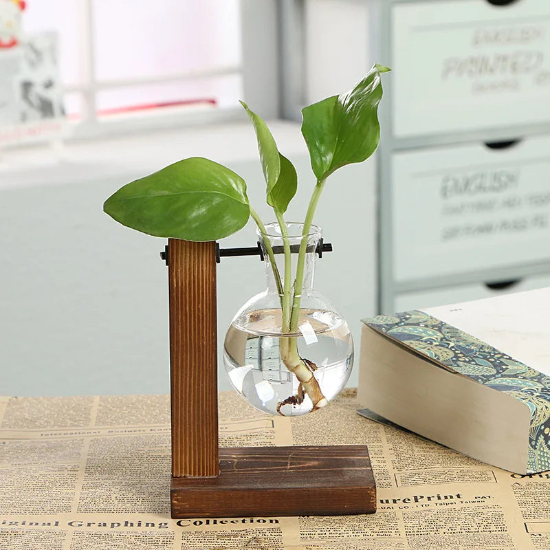 Desktop Plant Bulb Glass Vase