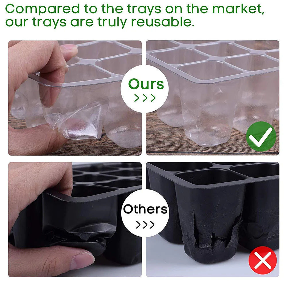 12 Holes Seedling Tray